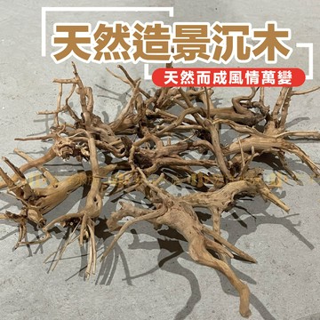 宏洋水族【天然造景沉木／小栖根】水族裝飾品 天然沉木 杜鵑木 水族造景 沉木造景 杜鵑根 水族箱造景 沉木造警 水草沉木