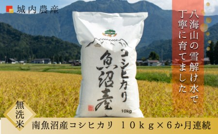 新米 令和５年 南魚沼産コシヒカリ　無洗米１０ｋｇ＜５割減農薬栽培米＞　城内農産