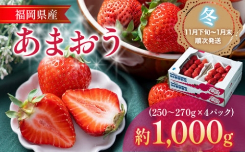 福岡産あまおう 4パック 合計約1000g～1080g 約1kg （1パックあたり約250g～約270g） いちご 苺 果物 フルーツ 九州産 福岡県産 冷蔵 送料無料