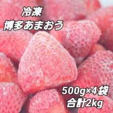 福岡県産約500g×4袋 合計約2kg(宇美町)