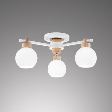 北歐風造型半吸頂燈 F85-09-K2674