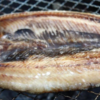 ふるさと納税 稚内市 北海道の魚一夜干し　開きにしん5枚セット