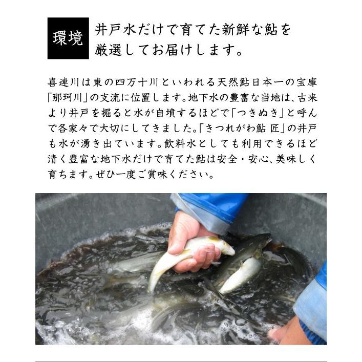 鮎の昆布巻き 子持ち鮎 特大 6袋セット 喜連川 湧水育ち鮎 炭火焼 昆布巻き ギフト  贈答品　ご飯のお供 おせち