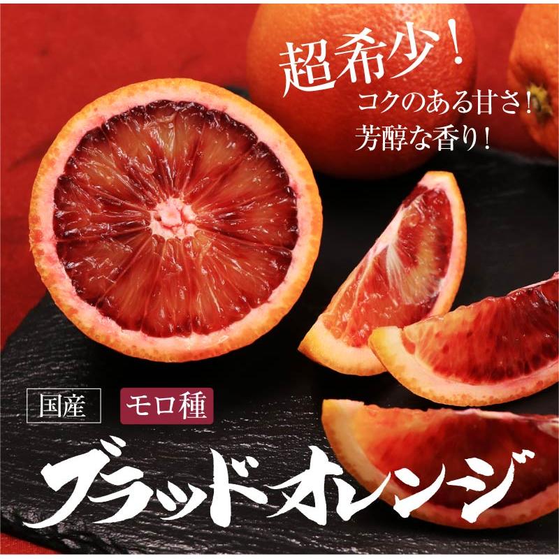 ブラッドオレンジ モロ種 送料無料 国産 熊本 5kg 大小混合 ＜2024年2月下旬より出荷予定＞ みかん 柑橘 フルーツ 果物