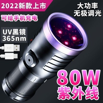 品上市】先鋒狼紫光燈大功率紫外線強光手電365nm熒光劑工業檢測鑒定專用