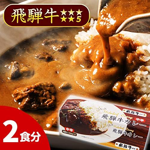 飛騨山味屋 5等級使用 ごろっと飛騨牛カレー(2食分) ビーフカレー ご当地カレー レトルトカレー 牛肉  