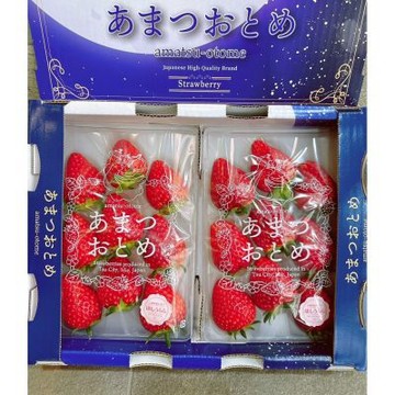 日本 三重 ほしうらら 星光草莓｜年節水果禮盒