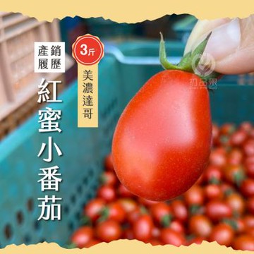 產地直送紅蜜小番茄3斤x4盒