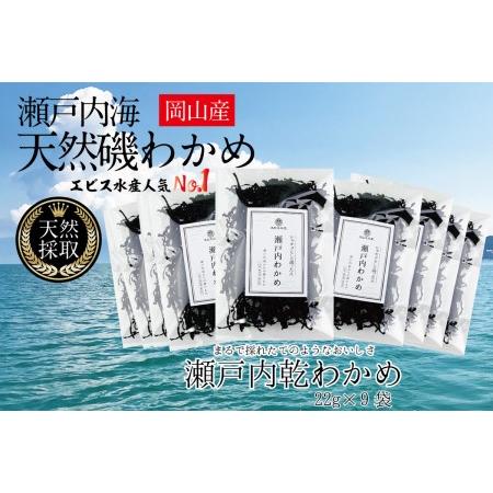 ふるさと納税 風味豊かな 瀬戸内 わかめ 22g×9袋 エビス水産 岡山県瀬戸内市