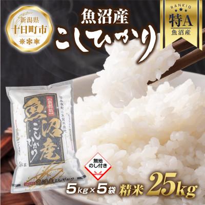 ふるさと納税 十日町市 魚沼産 コシヒカリ 5kg×5袋 計25kg (お米の美味しい炊き方ガイド付き)