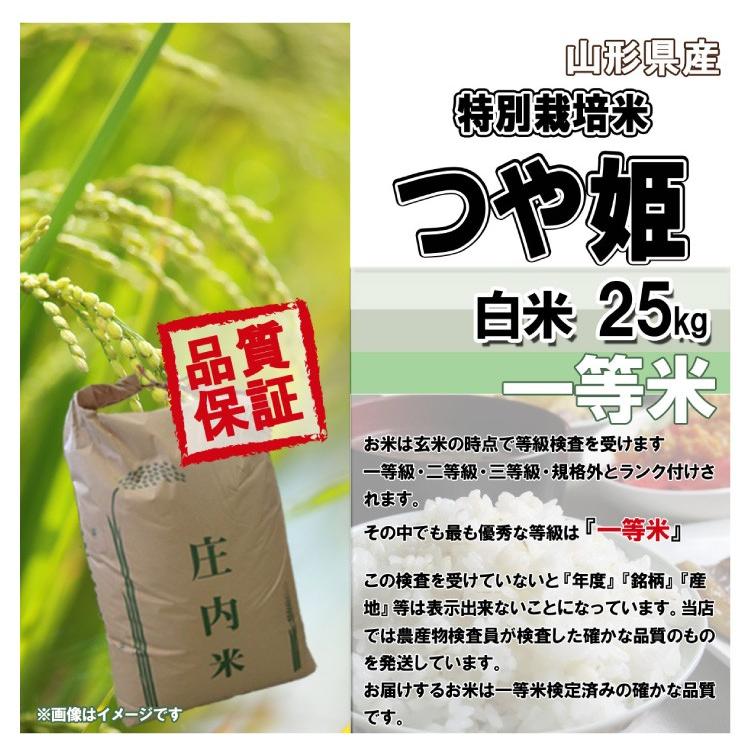 白米 25kg (5kg×5) 山形県産 特別栽培米 つや姫 米 お米 精米済 令和5年（送料無料）