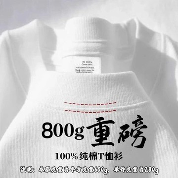 兩件裝【一件抵三件】純棉 新疆三本針重磅新疆棉T恤 男女厚實日系短袖 高克重 600g 重磅純棉T恤夏款