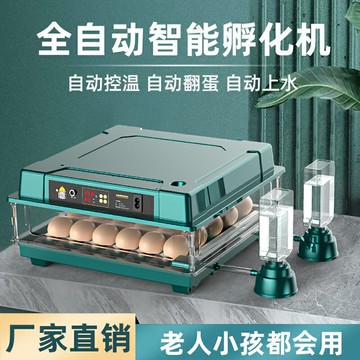 {新品上市}孵化器小型家用型全自動智能孵化機蘆丁小雞鴨鵝孵蛋器鸚鵡孵化箱