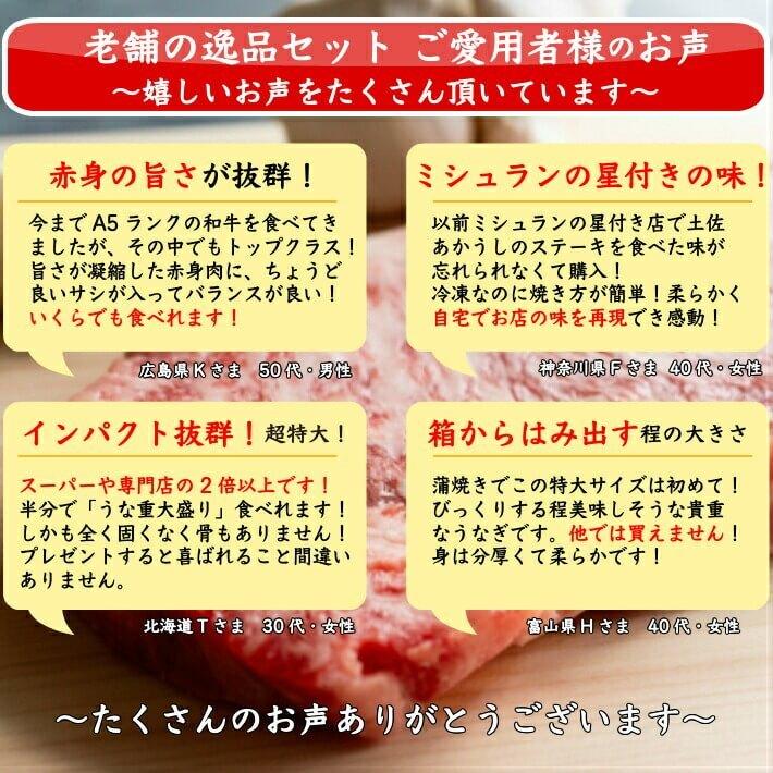 国産 特大うなぎ 土佐あかうし (サーロインステーキ)のセット 選べる鰻 ギフト