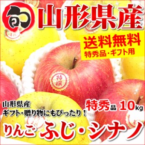 山形県産 冬ギフト サンふじ＆シナノゴールド 詰め合わせ 10kg (特秀品 22～36玉入り)