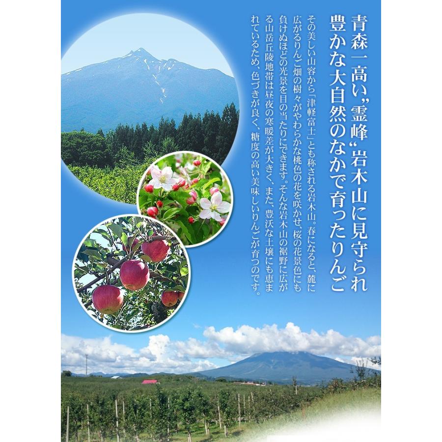 りんご 10kg 王林 大特価 青森産 ご家庭用 送料無料 食品