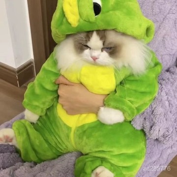 小恐龍可愛貓咪衣服泰迪狗狗秋冬加厚法蘭絨四腳衣寵物可愛變身裝