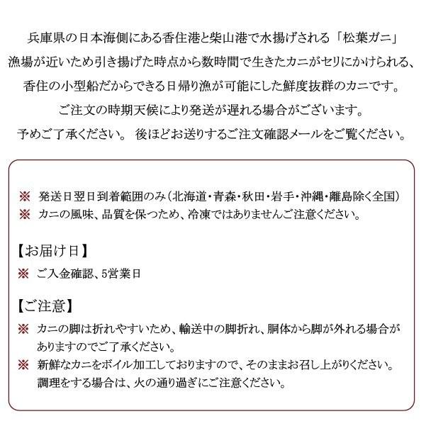 カニ かに 蟹 訳あり 松葉ガニ タグ付き 600ｇ 1杯 訳あり 本ズワイガニ ズワイガニ 冬ギフト 海鮮グルメ 送料無料 国産 香住産 ボイル 姿 贈答 お祝い 産地直送