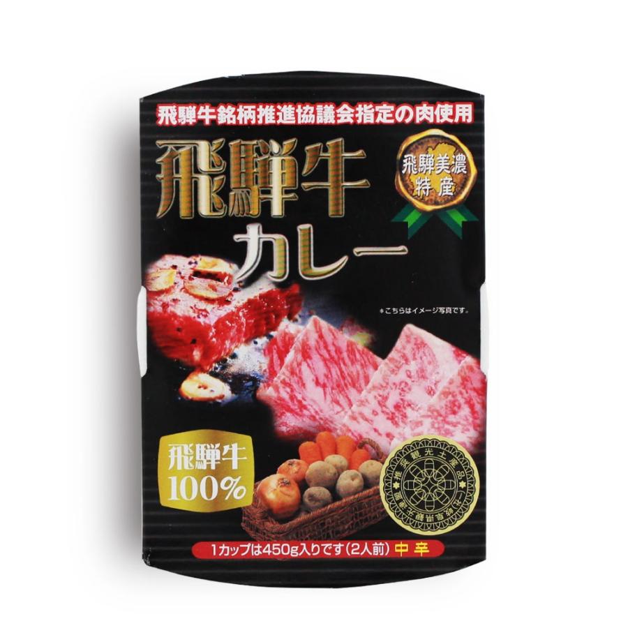 覇楼館 監修 飛騨牛100％ 飛騨牛カレー［中辛］（2人前） ビーフカレー 飛騨牛 牛肉  