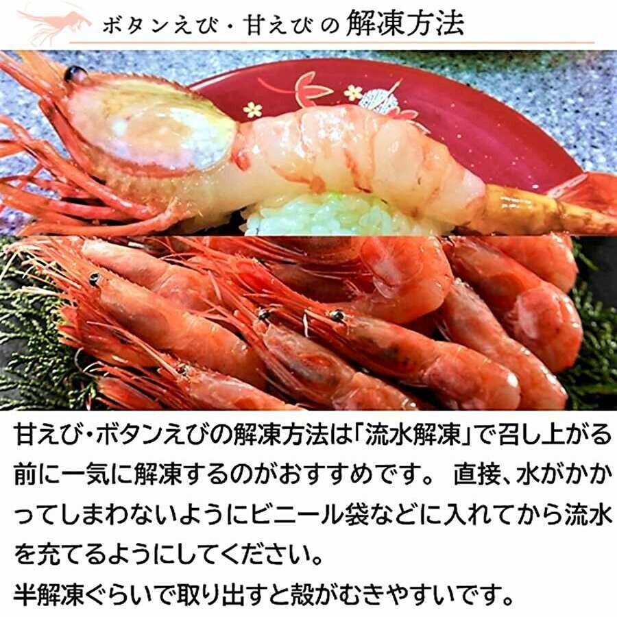 ボタンエビ ボタン海老 特大 牡丹海老  特大 えび 刺身用  500g 8尾前後