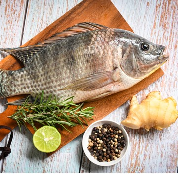 【五朝港水產】英勇台灣鯛(400g~500g/尾)x17尾