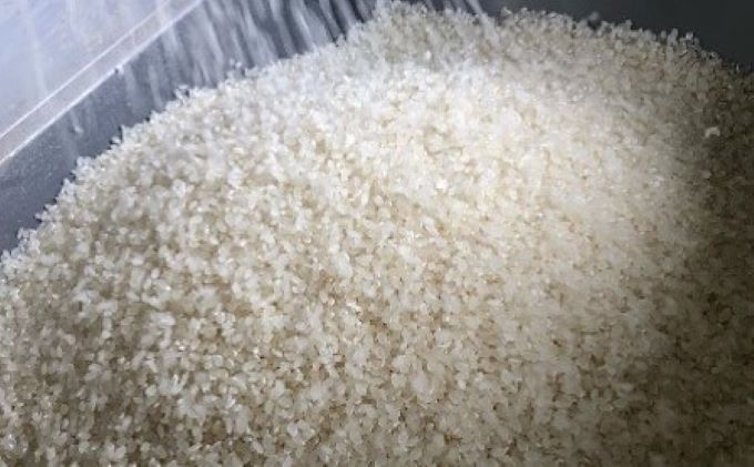 令和5年地域ブランド有機米「こんちゃん農園の水主米(みずしまい)」玄米10kg