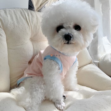 寵物衣服狗狗情侶泰迪春夏薄款水果背心T恤【淘夢屋】