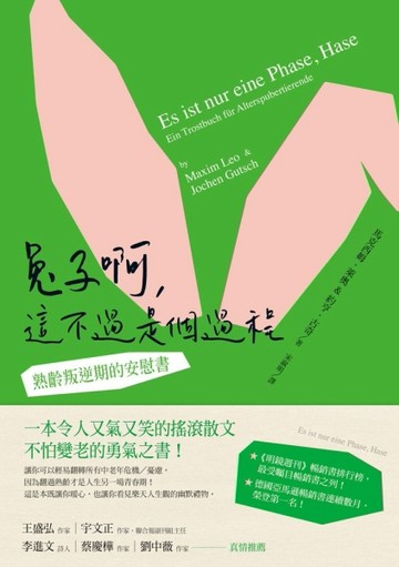 兔子啊，這不過是個過程：熟齡叛逆期的安慰書[二手書_良好]