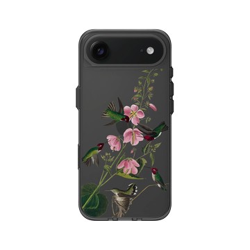 iPhone Air Clear (相機按鈕) 酷墨灰 - The British Library - 美洲鳥譜 ‧ 哥倫比亞蜂鳥