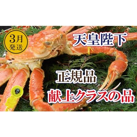 ふるさと納税 越前がに本場の越前町からお届け！誉れ高き越前がに「皇室献上級」浜茹で×1杯 桐箱入り！ [e37.. 福井県越前町