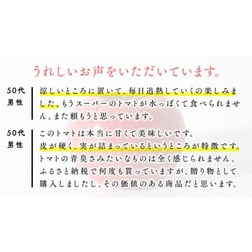 ふるさと納税 茨城県 筑西市  てるて姫 中箱 約1.2kg × 2箱 糖度9度 以上 野菜 フルーツトマト フルーツ トマト とまと [AF0…