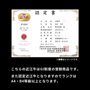 近江牛 ロース 300g 黒毛和牛 切り落し 和牛 国産 近江牛 和牛 近江牛 ブランド牛 和牛 近江牛 三大和牛 牛肉 和牛 近江牛 冷凍 贈り物 和牛 近江牛 ギフト 和牛 近江牛 プレゼント 和牛 近江牛 黒毛和牛 B-F03 株式会社ＴＫＳ