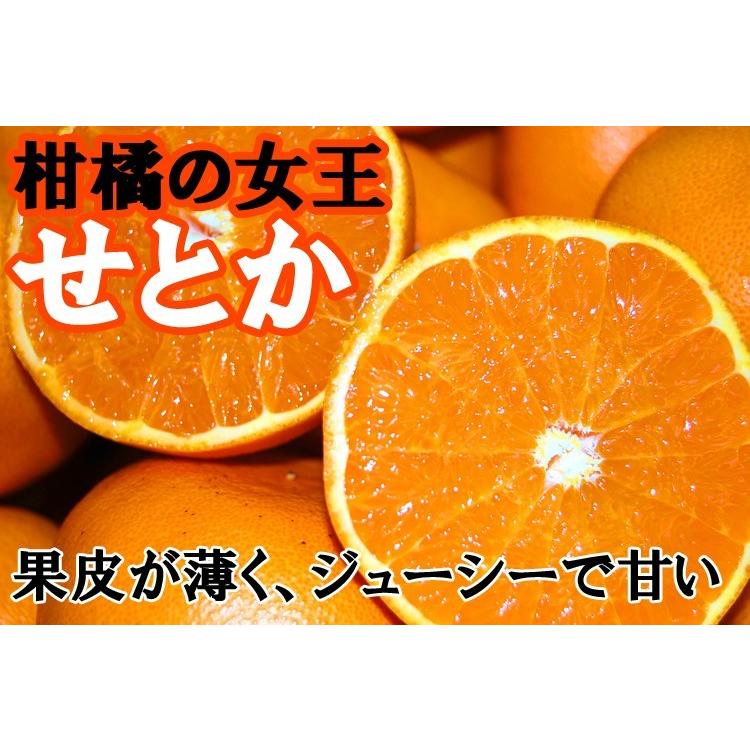 愛媛西宇和産　せとか　訳あり家庭用　５ｋｇ　送料無料