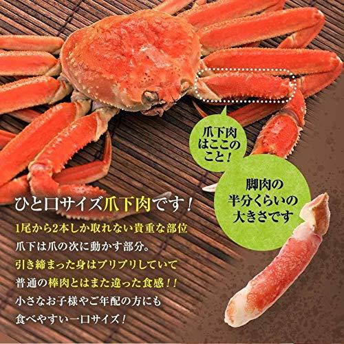 鮮度の鬼 生 ずわいがに 爪下 ポーション 1kg かにしゃぶ 蟹鍋 かに鍋