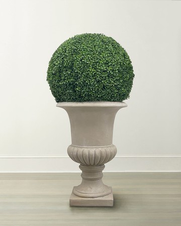 Boxwood Ball in Urn