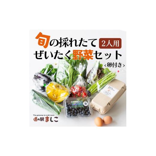 ふるさと納税 栃木県 益子町 AA001　旬の採れたてぜいたく野菜セット　卵付き♪　2人用