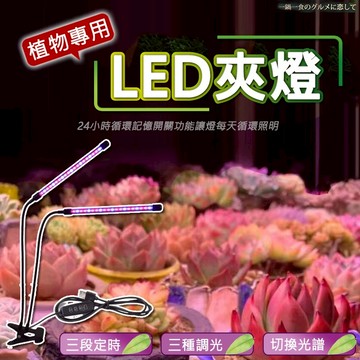 【隔日到貨免運費！全光譜10段調光 可循環定時】植物燈 生長燈 多肉植物燈 LED 植物日照燈 紅藍燈 補光燈 花卉燈