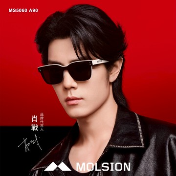 MOLSION 太陽眼鏡 MS5060 A90 雙色方框膠框 肖戰配戴款 - 金橘眼鏡