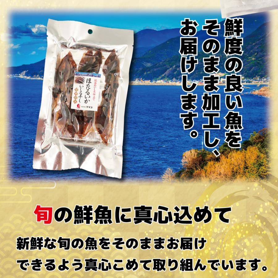 ホタルイカ 素干し (20g) お試しサイズ おつまみ ほたるいか 干物 珍味  晩酌 ギフト 日本海産 無添加食品 美味しい お試し 美味しい 産地 ビール 父の日 海鮮