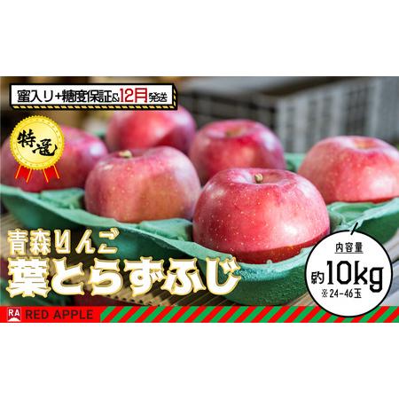 ふるさと納税 蜜入り＆13度糖度保証 特選 葉とらずふじ 約10kg 青森県弘前市