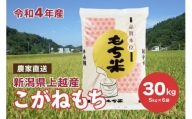 ブランドもち米「こがねもち」令和5年産 新潟県産／