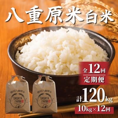 ふるさと納税 東御市 八重原米 精米 10kg (5kg×2袋)