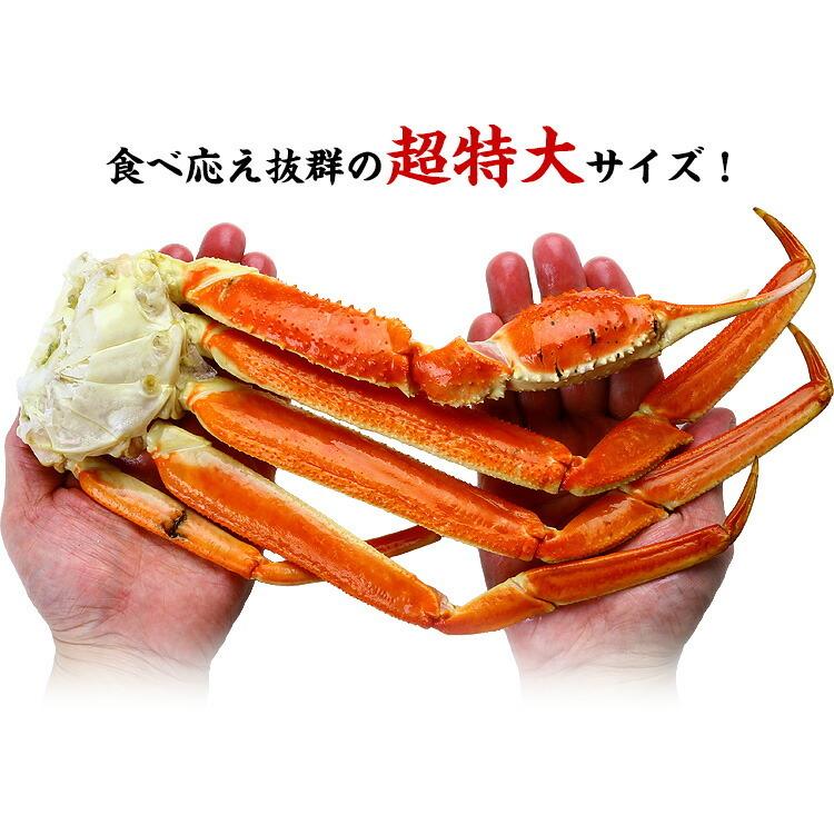 かに カニ 蟹 ズワイガニ 超特大 ボイルずわいがに 足 5kg 4L-5Lサイズ 約14肩入 送料無料 業務用 産地箱 FF