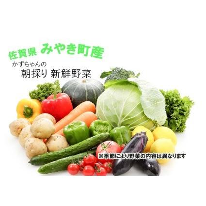 ふるさと納税 CC001_かずちゃんの朝採り新鮮野菜セット 佐賀県みやき町