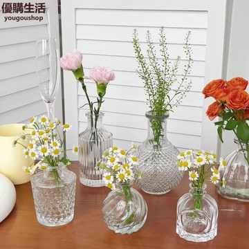 優購生活~法式復古浮雕玻璃迷你小花瓶ins風透明水培插花花瓶桌面裝飾擺件咖啡廳 咖啡店 甜品店 擺件 裝飾 網美 自拍 藝術