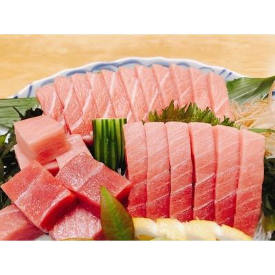 ふるさと納税 天然本鮪　中トロ　２００ｇ トロ マグロ まぐろ 本まぐろ 刺身 刺し身 魚 海鮮 天然 冷凍 美味しい おいしい 故郷納税 ふるさとの.. 高知県土佐市