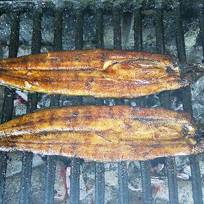 ふるさと納税 嬉野市 手焼き炭火焼きうなぎ蒲焼 (2尾・タレ付き)