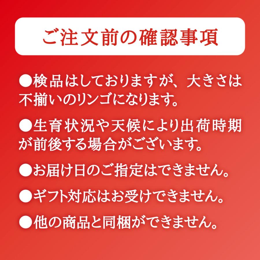 訳あり りんご サンふじ 宮城県産 ご自宅用 10kg（22〜36玉）｜ 国産 宮城 林檎