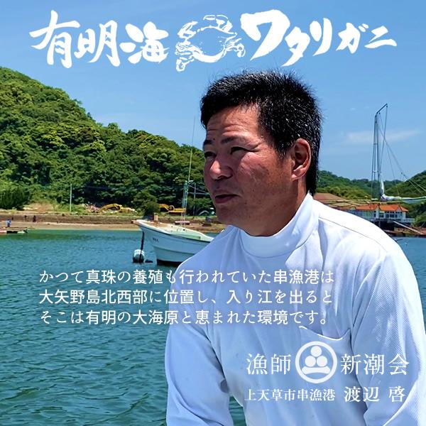 ワタリガニ直売 活〆 有明海 生 渡り蟹 約350g(S)×2尾 わたりがに 熊本県上天草市 旬 活締め冷凍 ボイルして本格パスタに［お歳暮 2023 ギフト 御歳暮］