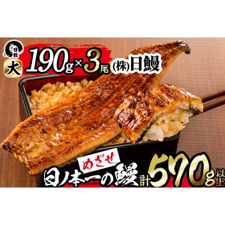 ふるさと納税 日ノ本一の鰻の蒲焼き＜大＞3尾セット(計570g以上) b8-022 鹿児島県志布志市